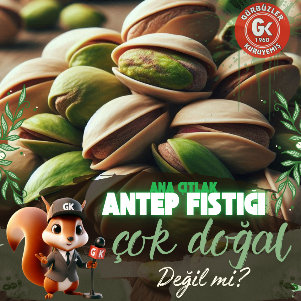 ANTEP FISTIĞI