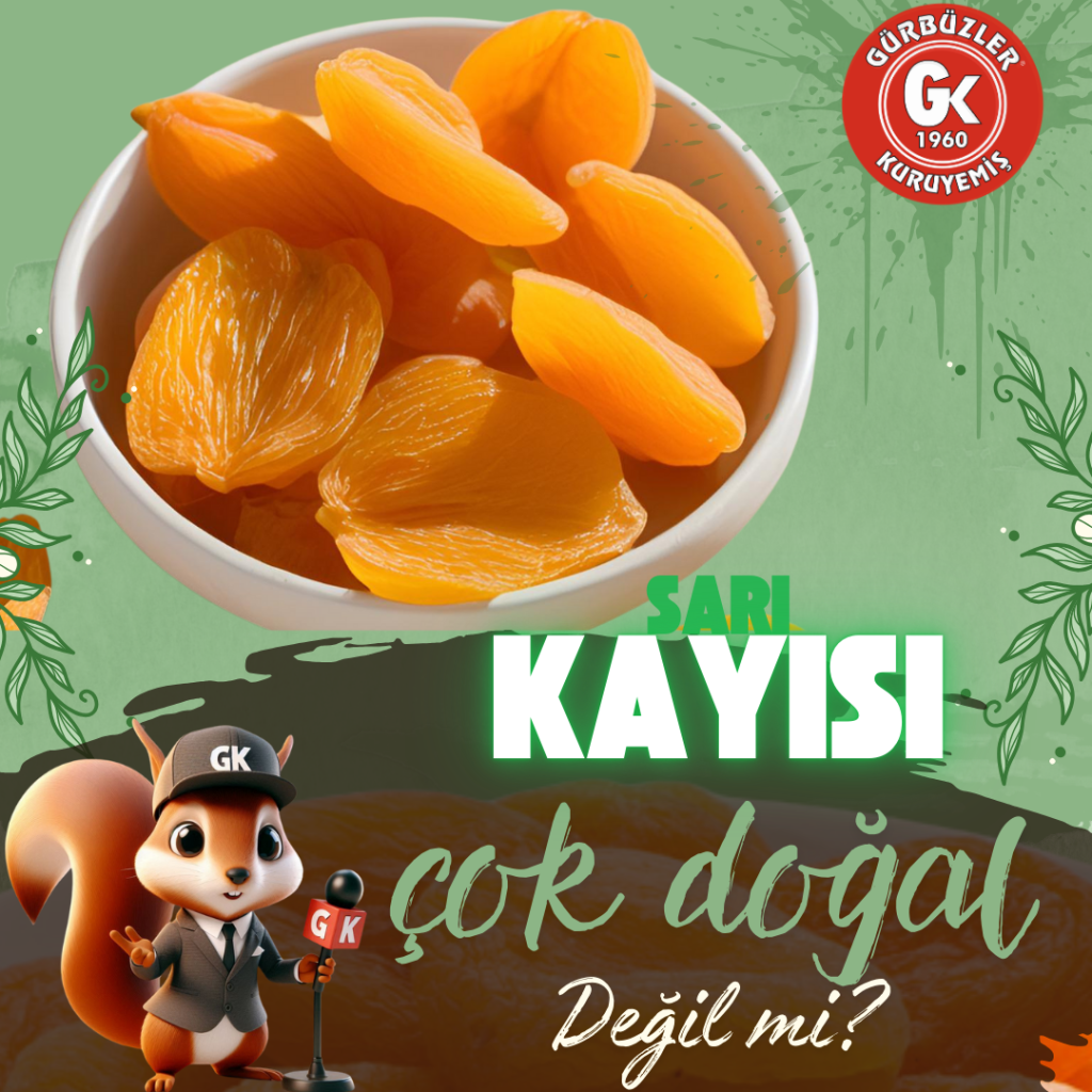 SARI KAYISI