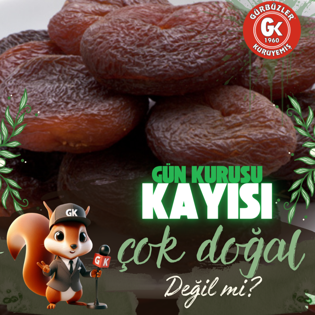 GÜN KURUSU